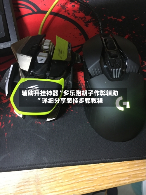 辅助开挂神器“多乐跑胡子作弊辅助”详细分享装挂步骤教程-第2张图片