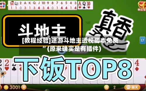 [教程经验]途游斗地主透视脚本免费”(原来确实是有插件)-第1张图片