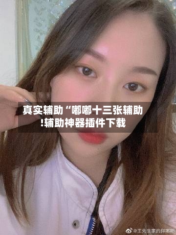 真实辅助“嘟嘟十三张辅助!辅助神器插件下载-第1张图片