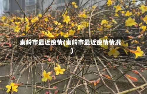 秦岭市最近疫情(秦岭市最近疫情情况)-第1张图片