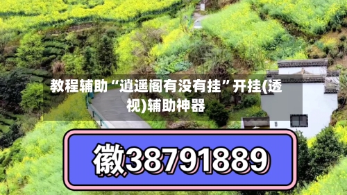 教程辅助“逍遥阁有没有挂”开挂(透视)辅助神器-第2张图片