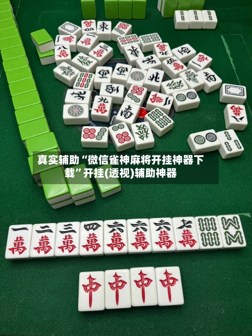 真实辅助“微信雀神麻将开挂神器下载”开挂(透视)辅助神器-第2张图片