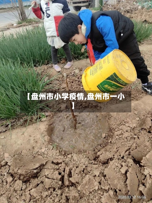 【盘州市小学疫情,盘州市一小】-第3张图片