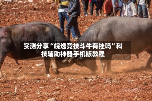 实测分享“皖逸竞技斗牛有挂吗”科技辅助神器手机版教程-第1张图片