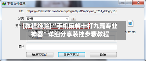 [教程经验]“手机麻将十打九赢专业神器	”详细分享装挂步骤教程-第1张图片