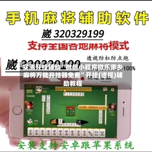 实测开挂辅助“微信小程序微乐家乡麻将万能开挂器免费”开挂(透视)辅助教程-第2张图片