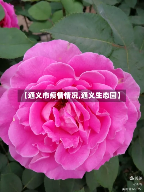 【通义市疫情情况,通义生态园】-第1张图片