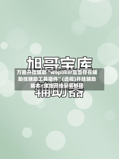 万能开挂辅助“wepoker是否存在辅助挂辅助工具插件	”(透视)开挂辅助脚本+详细开挂安装教程-第3张图片