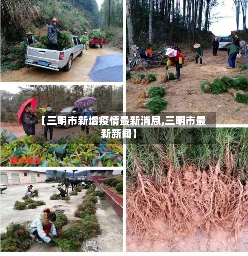 【三明市新增疫情最新消息,三明市最新新闻】-第2张图片