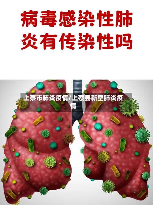 上蔡市肺炎疫情/上蔡县新型肺炎疫情-第2张图片