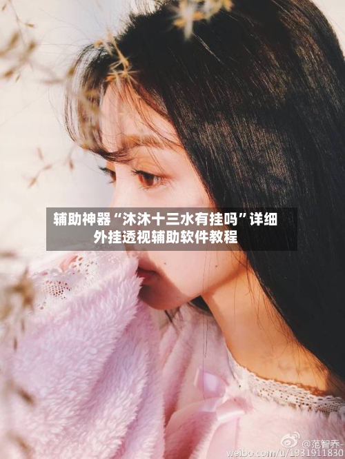 辅助神器“沐沐十三水有挂吗”详细外挂透视辅助软件教程-第2张图片