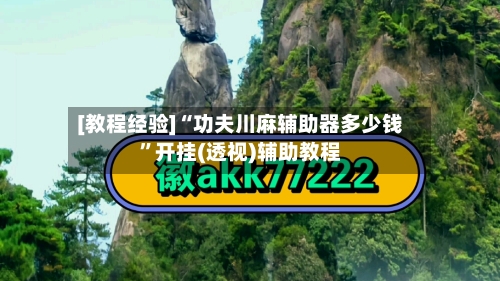 [教程经验]“功夫川麻辅助器多少钱”开挂(透视)辅助教程-第3张图片