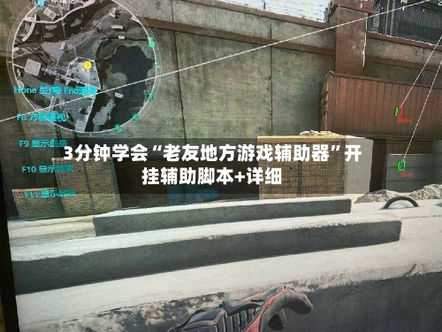 3分钟学会“老友地方游戏辅助器	”开挂辅助脚本+详细-第2张图片