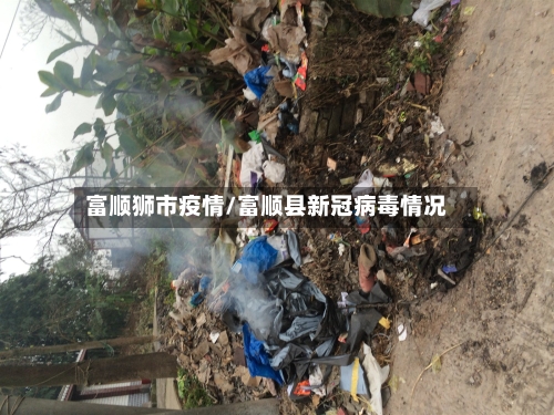 富顺狮市疫情/富顺县新冠病毒情况-第2张图片