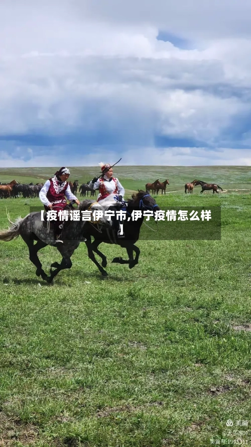 【疫情谣言伊宁市,伊宁疫情怎么样】-第1张图片