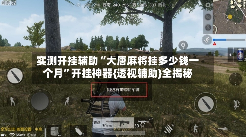 实测开挂辅助“大唐麻将挂多少钱一个月”开挂神器{透视辅助}全揭秘-第3张图片