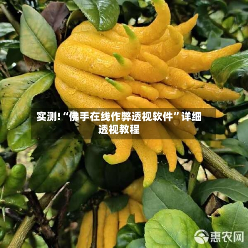 实测!“佛手在线作弊透视软件”详细透视教程-第1张图片