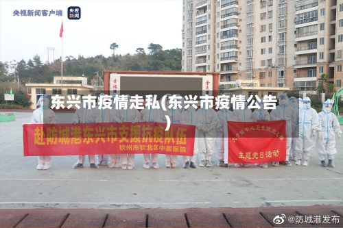 东兴市疫情走私(东兴市疫情公告)-第2张图片
