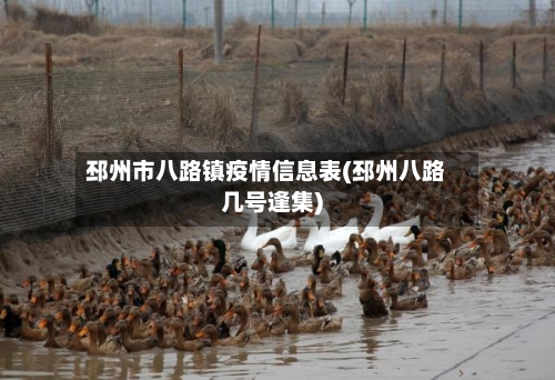 邳州市八路镇疫情信息表(邳州八路几号逢集)-第1张图片
