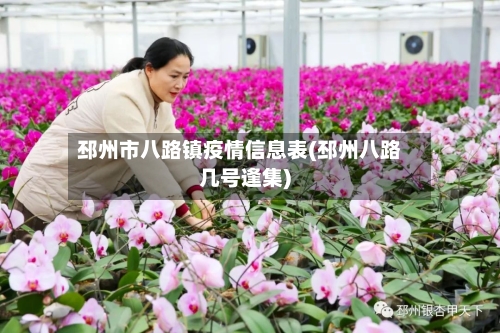 邳州市八路镇疫情信息表(邳州八路几号逢集)-第2张图片