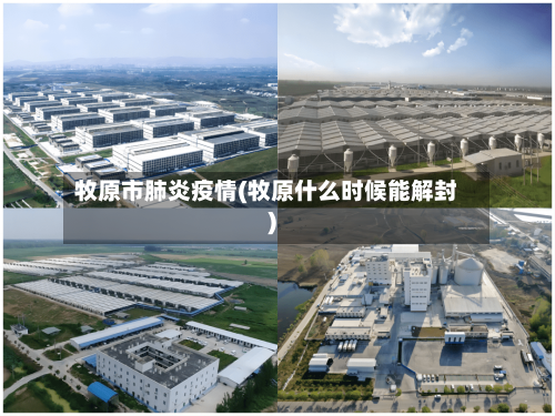 牧原市肺炎疫情(牧原什么时候能解封)-第3张图片