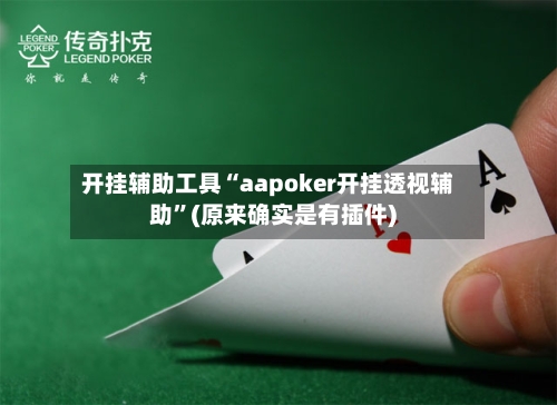 开挂辅助工具“aapoker开挂透视辅助”(原来确实是有插件)-第1张图片