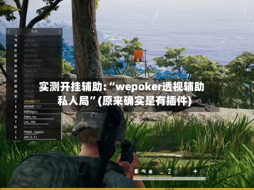 实测开挂辅助:“wepoker透视辅助私人局”(原来确实是有插件)-第2张图片