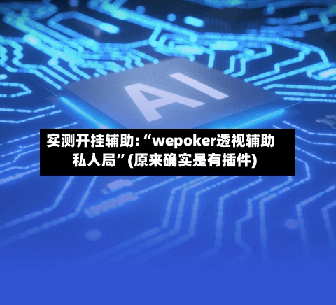 实测开挂辅助:“wepoker透视辅助私人局”(原来确实是有插件)-第3张图片