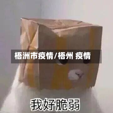 梧洲市疫情/梧州 疫情-第3张图片