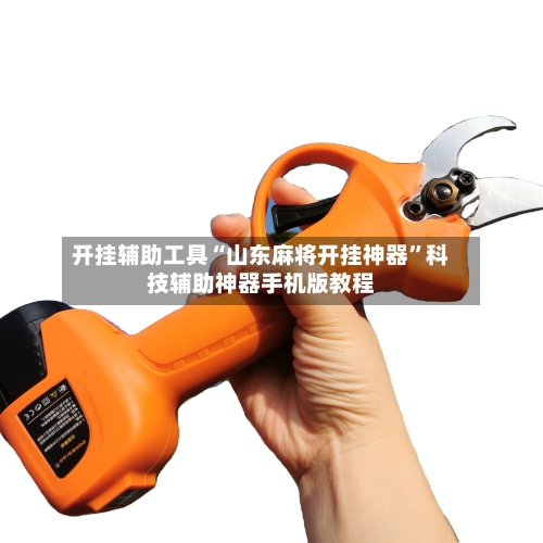 开挂辅助工具“山东麻将开挂神器”科技辅助神器手机版教程-第2张图片