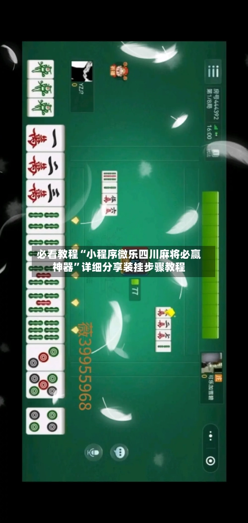 必看教程“小程序微乐四川麻将必赢神器	”详细分享装挂步骤教程-第1张图片