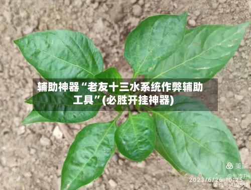 辅助神器“老友十三水系统作弊辅助工具”(必胜开挂神器)-第1张图片