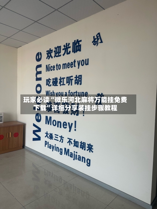 玩家必读“微乐河北麻将万能挂免费下载”详细分享装挂步骤教程-第2张图片