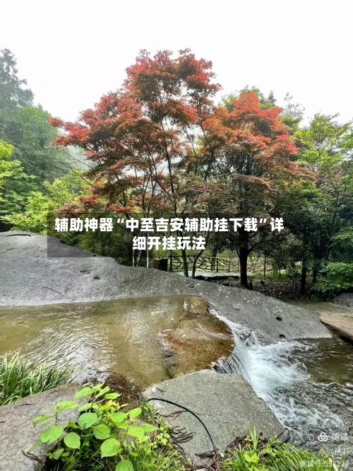 辅助神器“中至吉安辅助挂下载	”详细开挂玩法-第2张图片