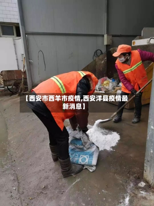【西安市西羊市疫情,西安洋县疫情最新消息】-第1张图片