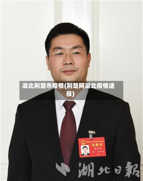 湖北荆楚市疫情(荆楚网湖北疫情速报)-第1张图片