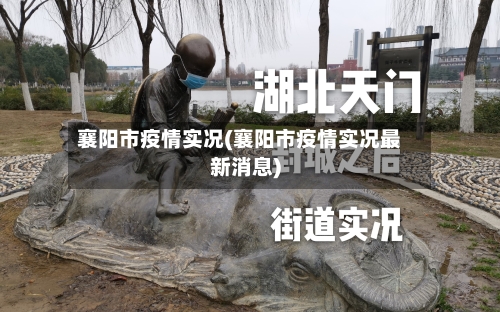 襄阳市疫情实况(襄阳市疫情实况最新消息)-第2张图片