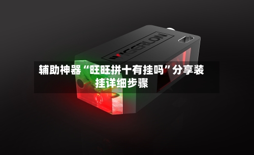 辅助神器“旺旺拼十有挂吗	”分享装挂详细步骤-第1张图片