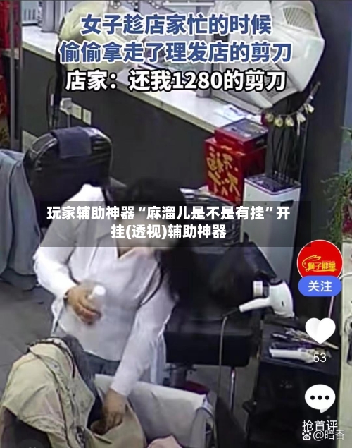 玩家辅助神器“麻溜儿是不是有挂”开挂(透视)辅助神器-第2张图片