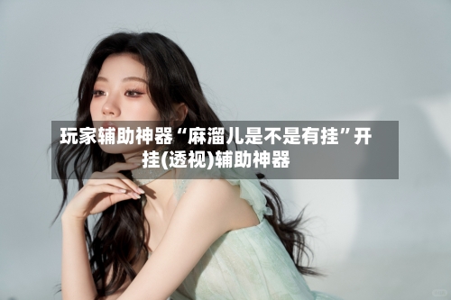 玩家辅助神器“麻溜儿是不是有挂	”开挂(透视)辅助神器-第1张图片