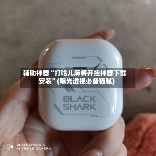 辅助神器“打哈儿麻将开挂神器下载安装	”(曝光透视必备猫腻)-第1张图片