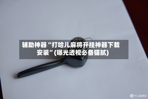 辅助神器“打哈儿麻将开挂神器下载安装”(曝光透视必备猫腻)-第2张图片