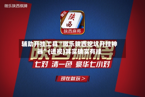 辅助开挂工具“微乐陕西挖坑开挂神器”(透视)其实确实有挂-第2张图片