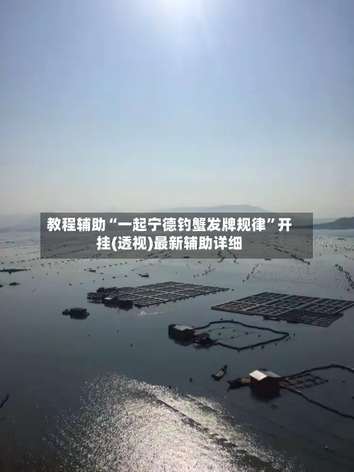 教程辅助“一起宁德钓蟹发牌规律”开挂(透视)最新辅助详细-第3张图片