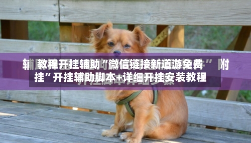 教程开挂辅助“微信链接新道游免费挂	”开挂辅助脚本+详细开挂安装教程-第1张图片