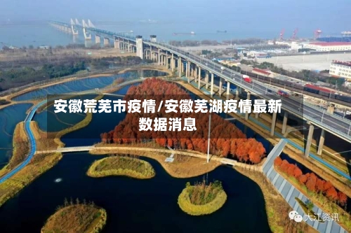 安徽荒芜市疫情/安徽芜湖疫情最新数据消息-第2张图片