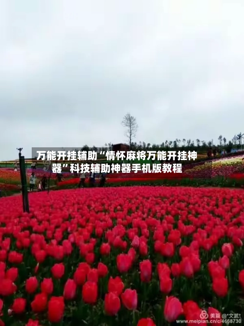 万能开挂辅助“情怀麻将万能开挂神器”科技辅助神器手机版教程-第1张图片