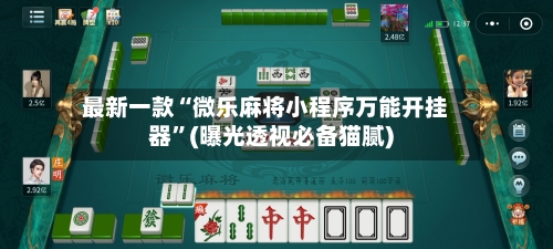 最新一款“微乐麻将小程序万能开挂器	”(曝光透视必备猫腻)-第1张图片