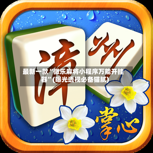 最新一款“微乐麻将小程序万能开挂器”(曝光透视必备猫腻)-第3张图片