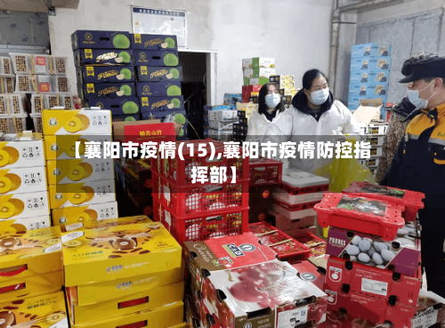 【襄阳市疫情(15),襄阳市疫情防控指挥部】-第2张图片